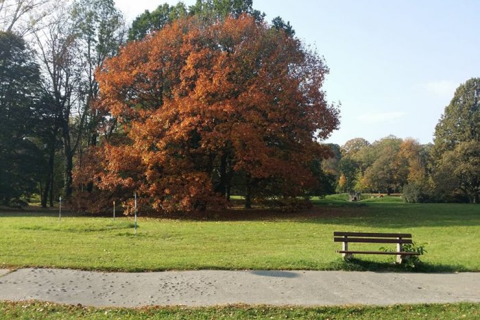 Ilustračný obrázok k článku V Malackách sa zanedbaný pozemok zmení na nový mestský park