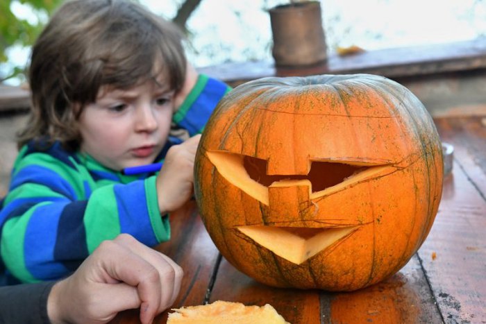 Ilustračný obrázok k článku Kam v Bratislave zadarmo: Víkend v meste prinesie pravé jesenné radovánky