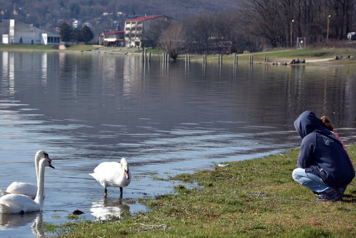 Ilustračný obrázok k článku Vodné nádrže na Zemplíne majú nízke hladiny: Môže za to nedostatok zrážok