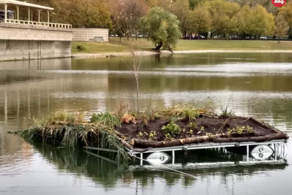 Ilustračný obrázok k článku FOTO: Nový umelý ostrovček na Štrkovci bude snímať webkamera