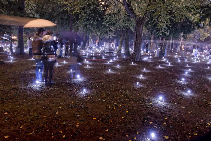 Ilustračný obrázok k článku Sledujte, čo sa chystá pri príležitosti 750. výročia: Hviezdny koberec aj videomapping!