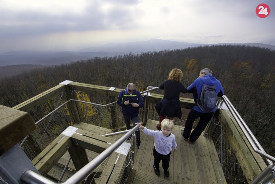 Ilustračný obrázok k článku Malokarpatský expres vás odvezie do Malých Karpát aj s bicyklom