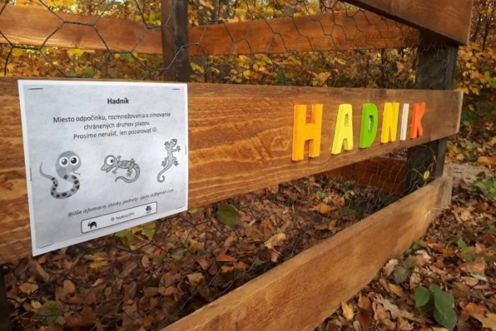 Ilustračný obrázok k článku Zaujímavá novinka: V bratislavských lesoch pribudli úkryty pre rozmnožovanie hadov