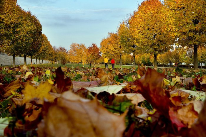 Ilustračný obrázok k článku RANNÁ ŠTVORKA: V stredu ostane slnečno a teplota klesne na 18 °C, meniny má René