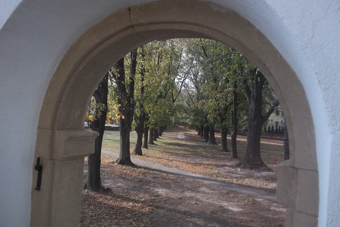 Ilustračný obrázok k článku Redakčné tipy na víkend: Kam môžete vyraziť a čo zažiť?