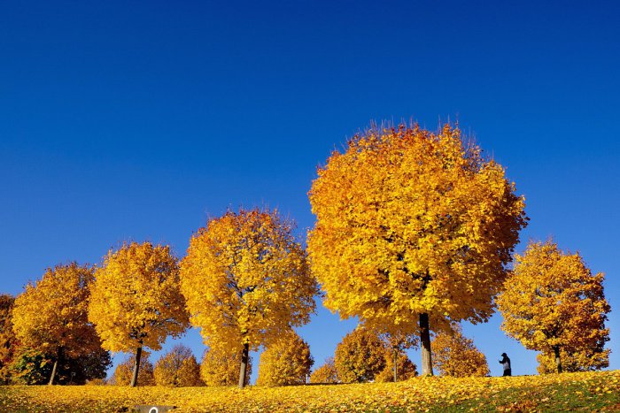 Ilustračný obrázok k článku November je rekordne teplý: Vysoké teploty nás čakajú aj v ďalších dňoch