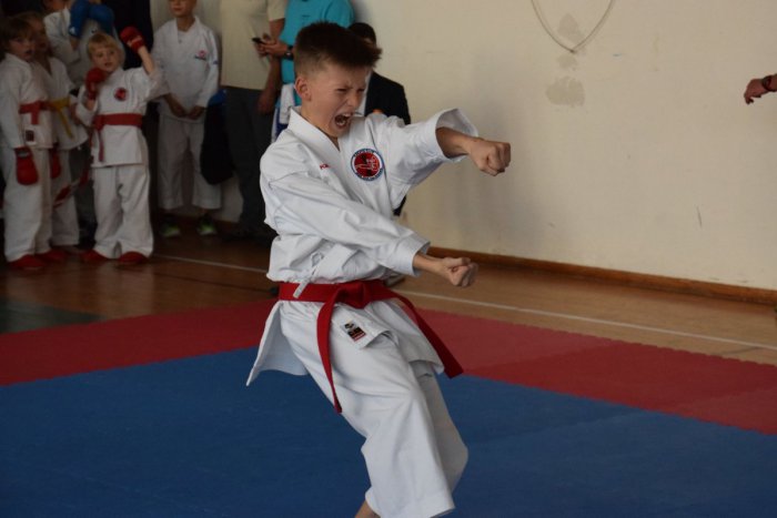 Ilustračný obrázok k článku Úspešné ťaženie: Žiar má niekoľkých majstrov kraja, darilo sa aj v Budapešti, FOTO