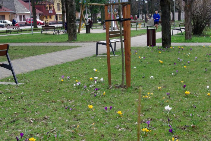 Ilustračný obrázok k článku Komunálne voľby vo Varíne v kocke: Kto dostal koľko hlasov?