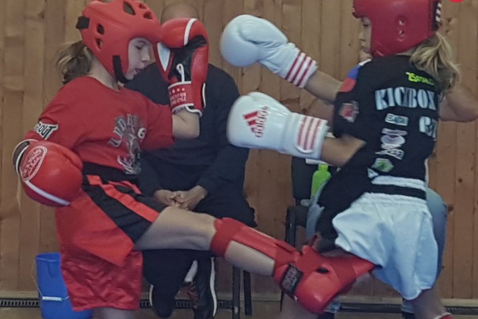 Ilustračný obrázok k článku FOTO: Medailová žatva revúckych kickboxerov. Uchmatli až 8 cenných kovov