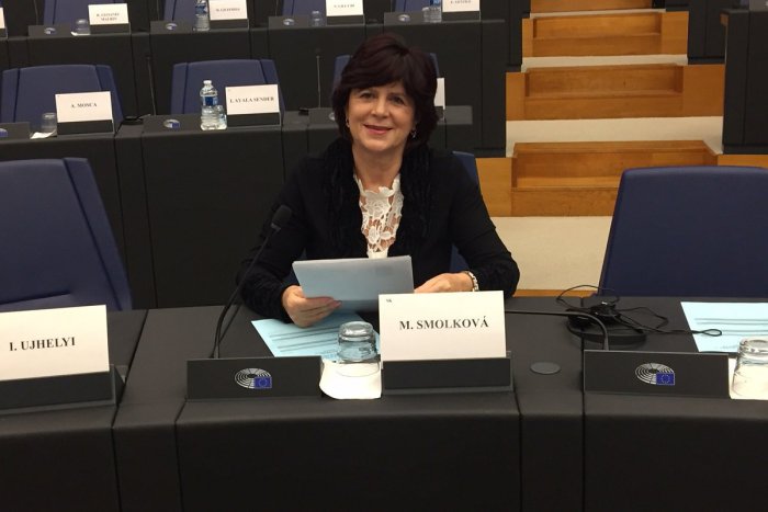 Ilustračný obrázok k článku Košická europoslankyňa Smolková považuje výsledky Smeru v komunálnych voľbách za trpkú prehru