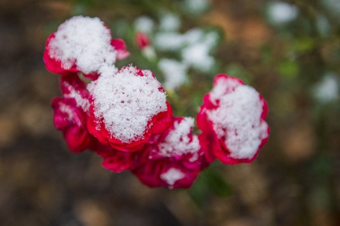 Ilustračný obrázok k článku RANNÁ ŠTVORKA: Pred nami je zamračený a chladný deň, meniny má Félix
