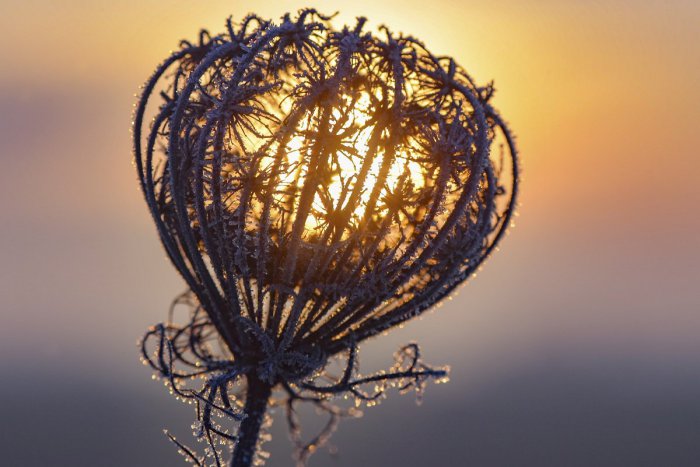 Ilustračný obrázok k článku RANNÁ ŠTVORKA: Streda bude oblačná s teplotami do 8 °C, meniny má Elvíra