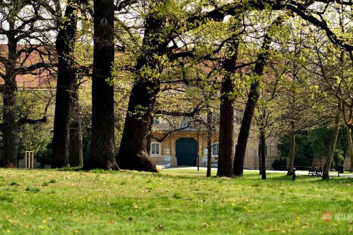 Ilustračný obrázok k článku Malacky vystupujú zo ZMOS: Mestu sa nepáči slabá obhajoba jeho záujmov