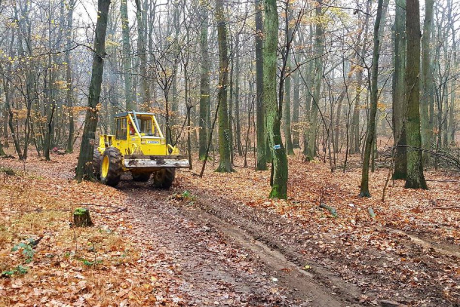 Ilustračný obrázok k článku Lesy SR porušili dohodu o obmedzenom výrube, upozorňujú starostovia