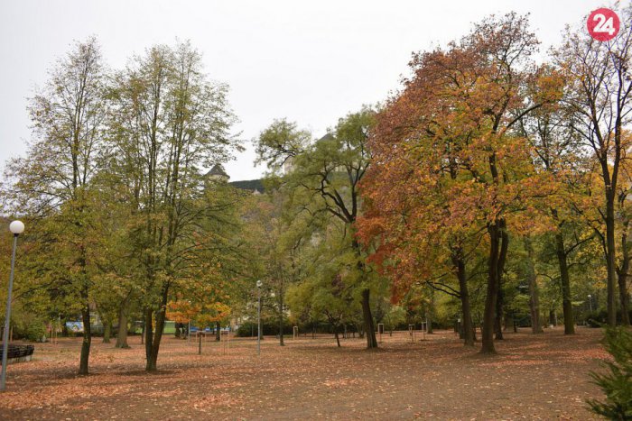 Ilustračný obrázok k článku Nové stromy v parku Štefánika: Čaro zelene na FOTKÁCH