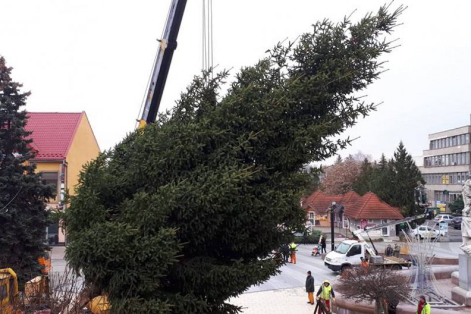 Ilustračný obrázok k článku Pozrite si ho na FOTKÁCH: Toto je tohtoročný michalovský vianočný stromček