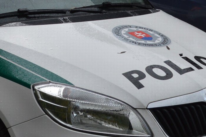 Ilustračný obrázok k článku Súd rozhodol v prípade aktivistov Greenpeace: Stíhať ich budú väzobne