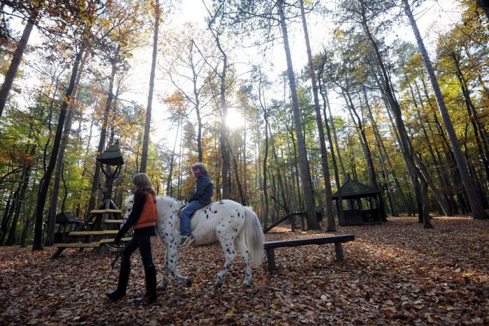 Ilustračný obrázok k článku Lesná učebňa na Brezine: Nápad, ktorý má Trenčanov vzdelávať