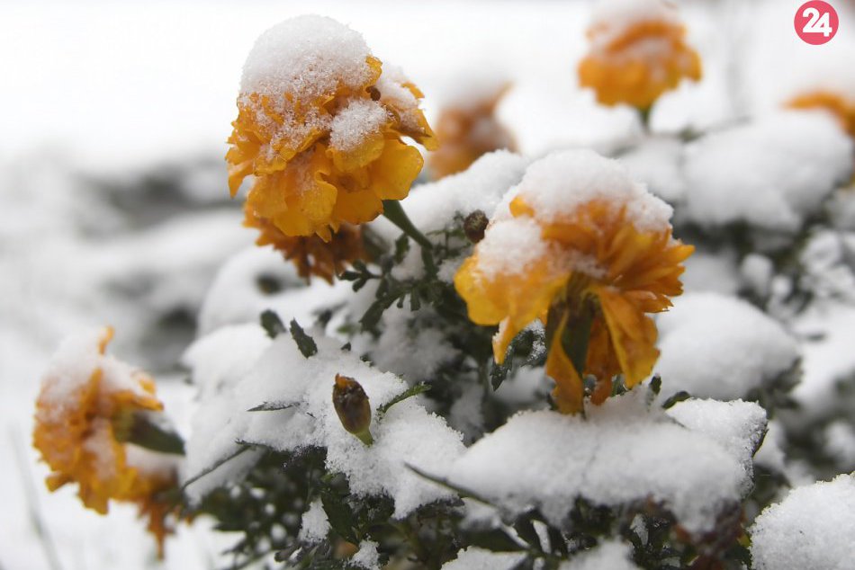 Ilustračný obrázok k článku FOTO: Košičania sa zobudili do bieleho rána