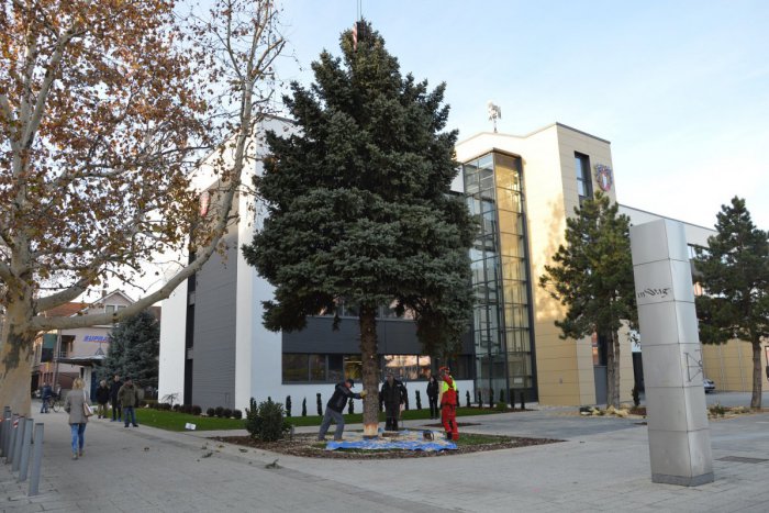 Ilustračný obrázok k článku FOTO, Zelené symboly Vianoc už osádzajú: Stromčeky spríjemnia predsviatočnú atmosféru