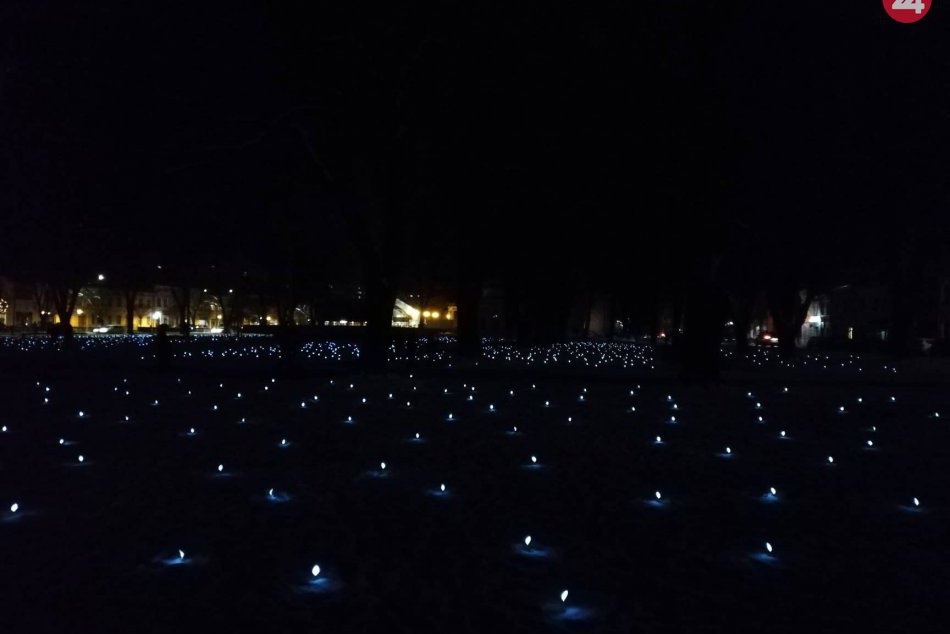 Ilustračný obrázok k článku Zachytené objektívom: V spišskonovoveskom parku upútal pozornosť hviezdny koberec