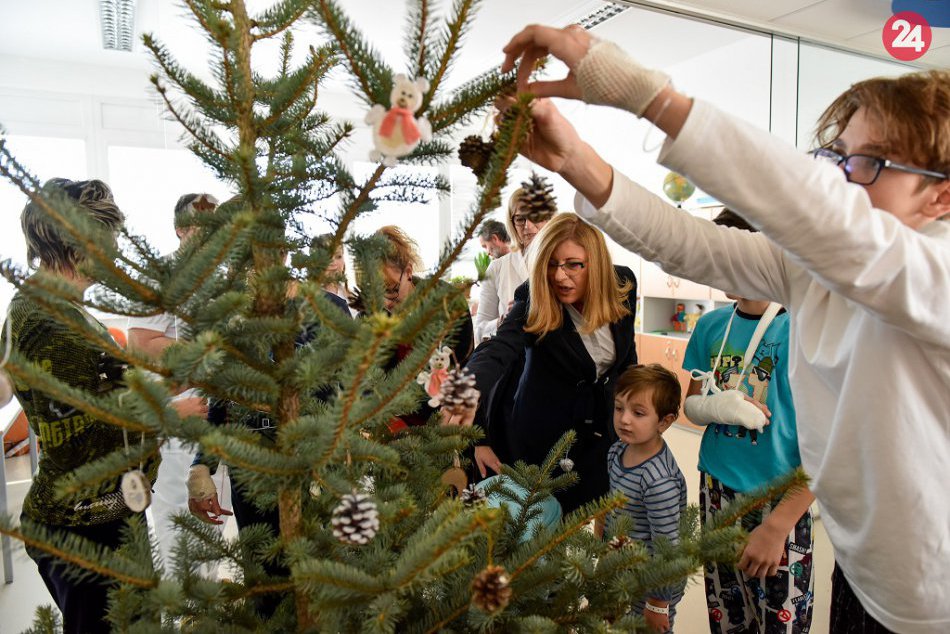 Ilustračný obrázok k článku Pacienti budú mať krajšie Vianoce. Agrorezort daroval nemocniciam 150 vianočných stromčekov