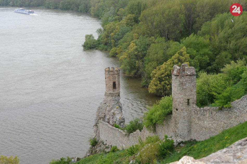 Ilustračný obrázok k článku Na rakúskej strane Moravy sa darí obnovovať vzácne druhy zvierat a rastlín