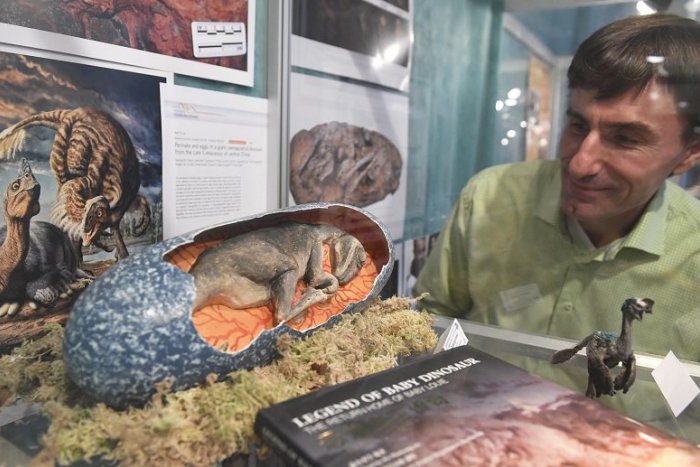 Ilustračný obrázok k článku VIDEO: Botanická záhrada predstaví unikátne objavy košických paleontológov a simulovaný prales