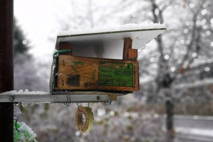 Ilustračný obrázok k článku Na Kremnicu padá sneh: Pocukrované výjavy z mesta na FOTKÁCH