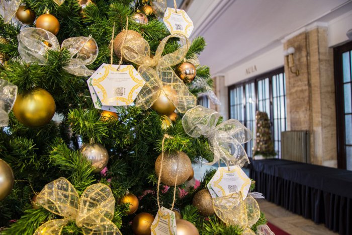 Ilustračný obrázok k článku Študenti organizujú charitatívny projekt Univerzitný stromček prianí