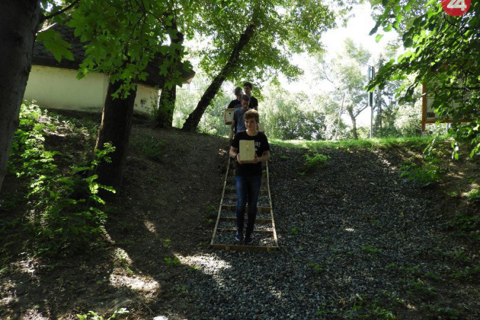 Ilustračný obrázok k článku Oživili zanedbaný lesík: Žiaci z Marcelovej s nomináciou na Detský čin roka, FOTO