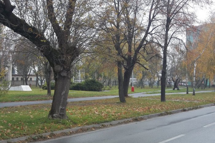 Ilustračný obrázok k článku V Šali uprednostnili miestne firmy: Postarajú sa o havarijné stavy aj chodníky