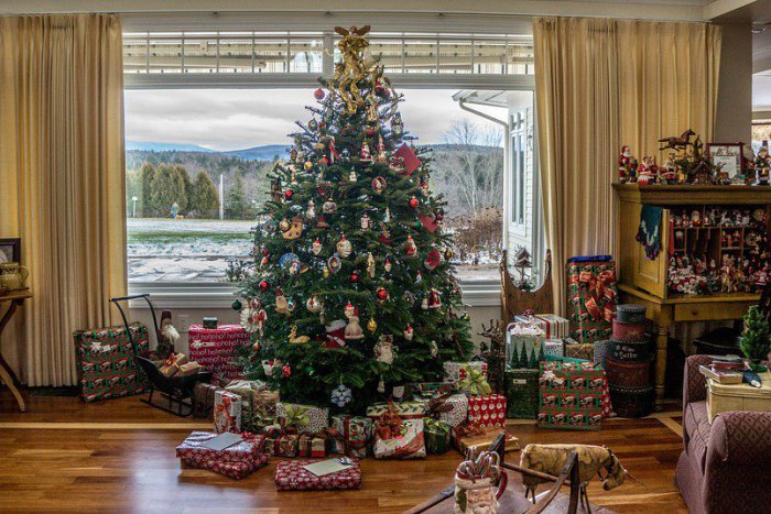 Ilustračný obrázok k článku HLASUJTE: Aký Vianočný stromček uprednostňujete? Živý, umelý alebo v kvetináči?