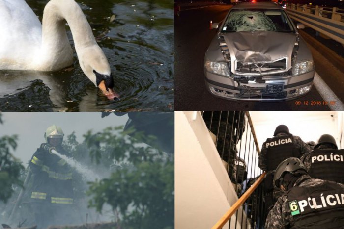 Ilustračný obrázok k článku To najlepšie z celého týždňa: TOP 5 najčítanješích správ z Nitry