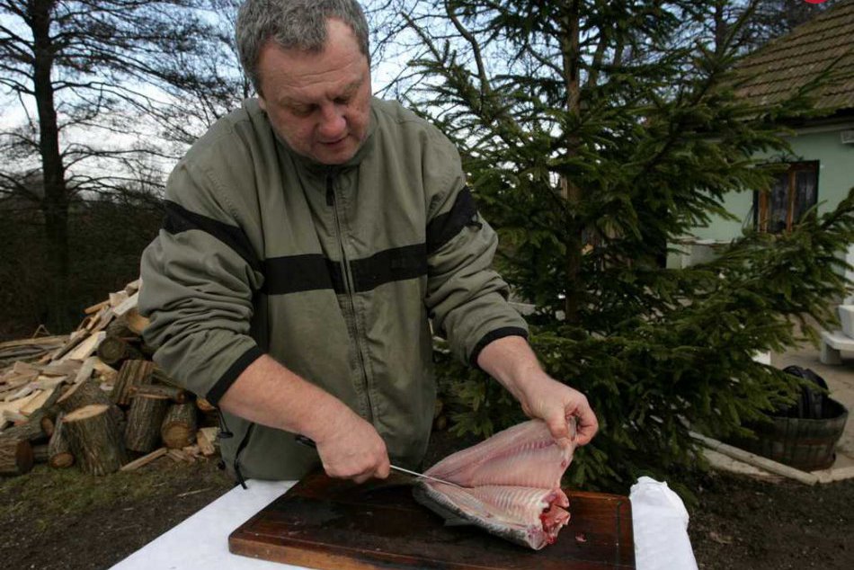 Ilustračný obrázok k článku FOTORECEPT: Ako na kapra bez nepríjemných kostí? Dozviete sa v našom návode