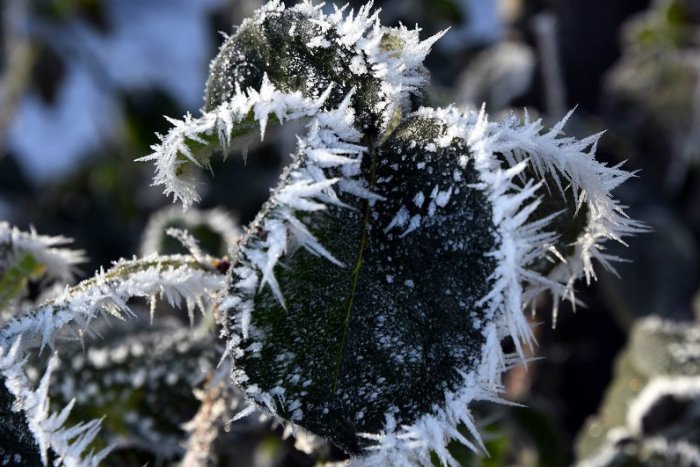 Ilustračný obrázok k článku V noci na utorok bolo najchladnejšie v Banskobystrickom kraji