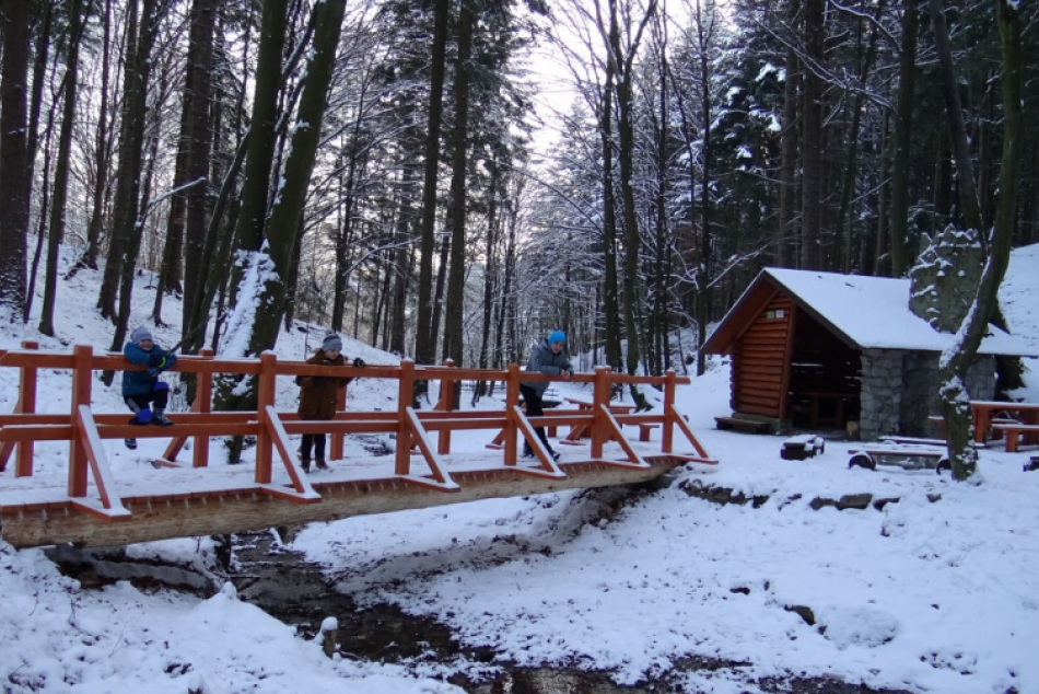 Ilustračný obrázok k článku FOTO: Skrášľovanie okolia kúpeľov pokračuje: Pozrite, čo pribudlo v okolí jazierka