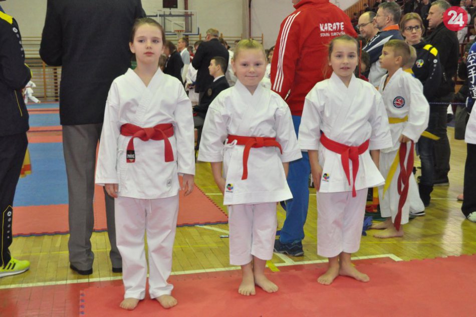 Ilustračný obrázok k článku Mladí karatisti opäť úspešní: Z Košíc sa vrátili s pätnástimi medailami