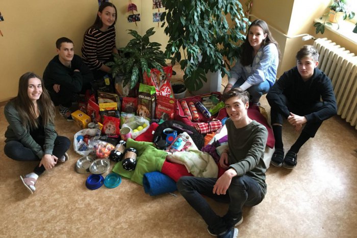 Ilustračný obrázok k článku Krásne gesto gymnazistov zo Spišskej: Takto pomohli psíkom z útulku