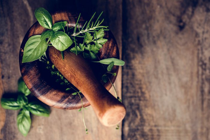 Ilustračný obrázok k článku Projekt Herbaland má pomôcť ľuďom s podnikaním v oblasti liečivých bylín