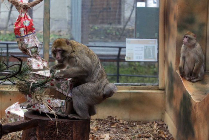 Ilustračný obrázok k článku Tipy na víkend: Vypočujte si Dobšinského rozprávky v podaní hercov