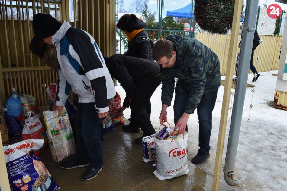 Ilustračný obrázok k článku Popradčanom nie sú psíky v útulku ľahostajné: Nosia im stravu vo veľkom a to nie je všetko!