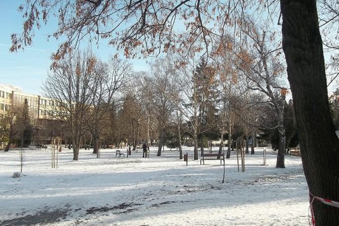 Ilustračný obrázok k článku FOTO, Mesto Šaľa spustilo veľa projektov: Ktoré už splnili a čo chcú dotiahnuť?