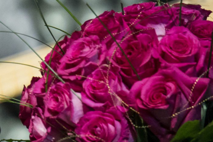 Ilustračný obrázok k článku Slávna rodáčka z východu: Nechce byť v top desiatke ankety Najväčší Slovák