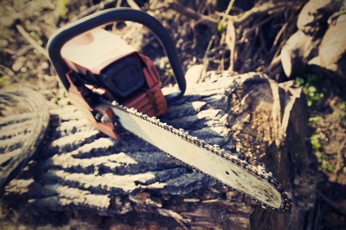 Ilustračný obrázok k článku Súd poslal dôchodcu za mreže za teroristický útok: Zoťal stromy na železničné koľaje