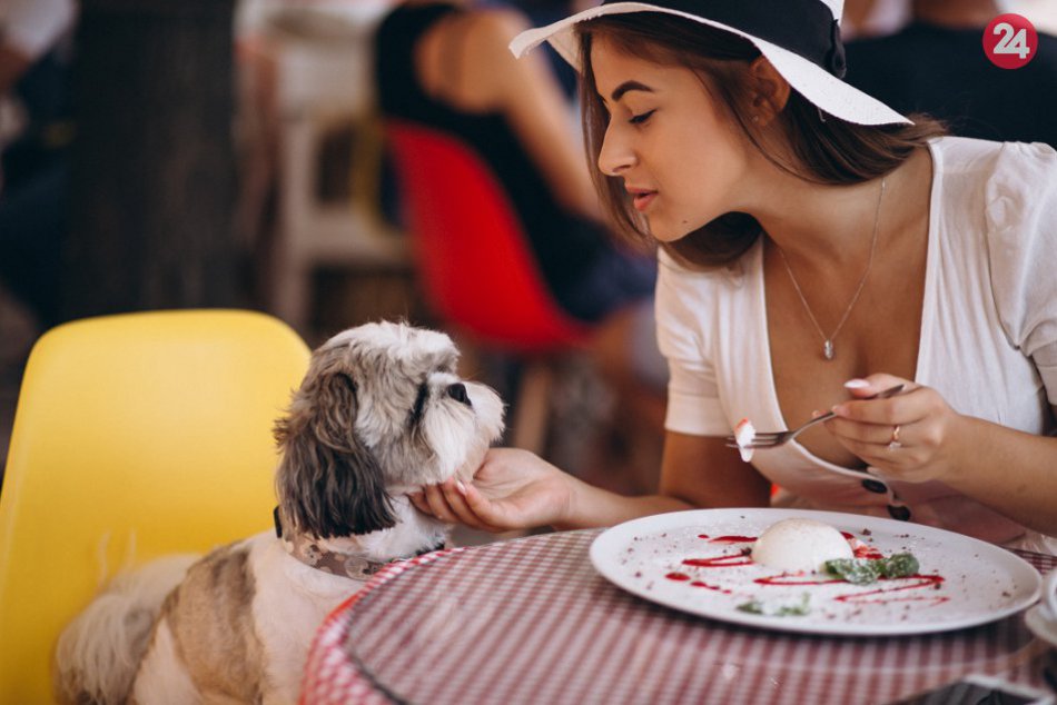 Ilustračný obrázok k článku Milovníci zvierat sa nepotešia: Psy budú mať naďalej zakázaný vstup do reštaurácií