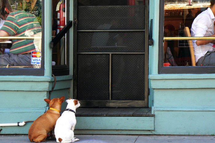 Ilustračný obrázok k článku Veľký prehľad opatrení v metropole Zemplína: Potešia nielen zmeny v reštaurácii