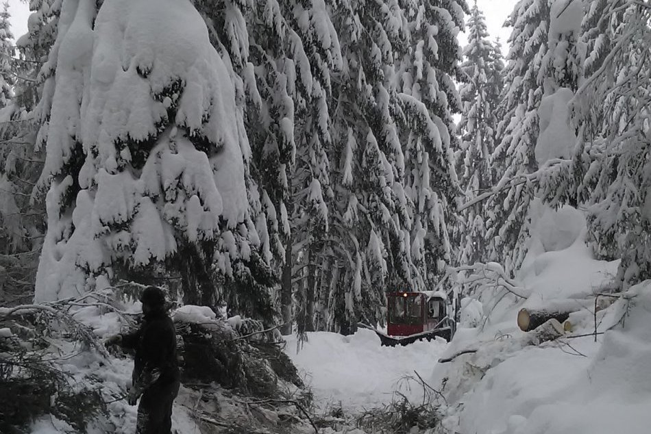 Ilustračný obrázok k článku Sneh v Žiline a okolí úraduje: Bojujú s ním aj známe turistické lákadlá, FOTO