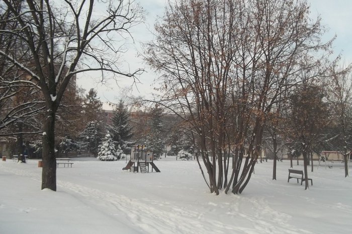 Ilustračný obrázok k článku Prichádza víkend: Rozhodnete sa pre ples, kino či hádzanú?