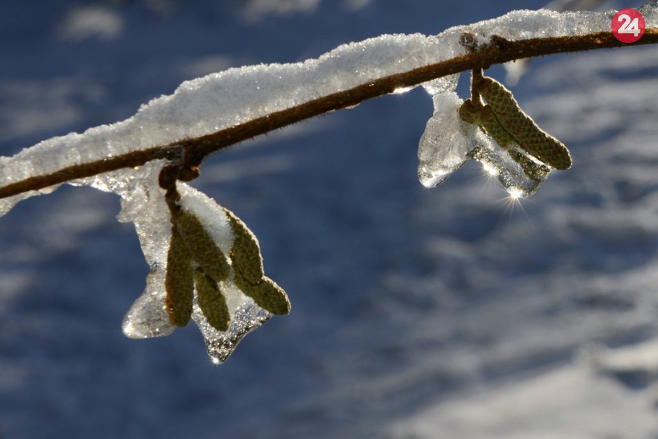Ilustračný obrázok k článku RANNÁ ŠTVORKA: V utorok maximálna teplota vystúpi na 2 stupne, meniny má Zora